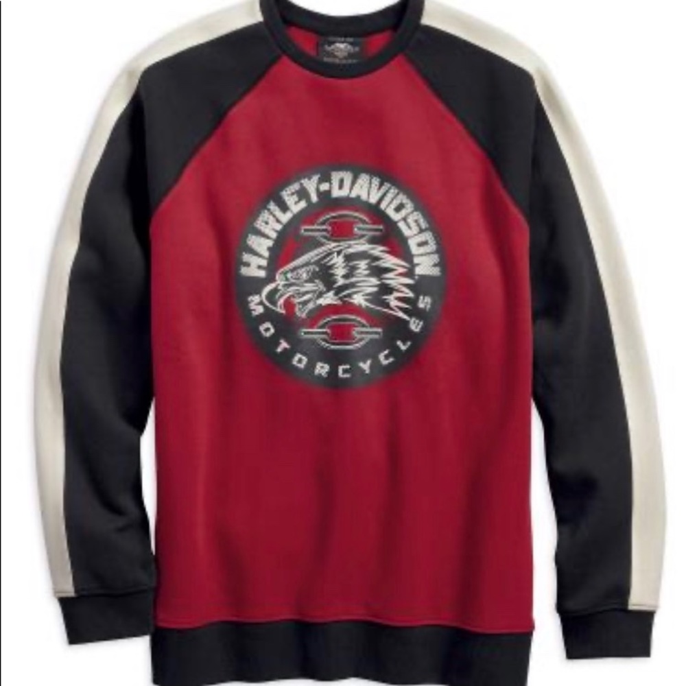 Harley-Davidson Men's Eagle Profile Pullover